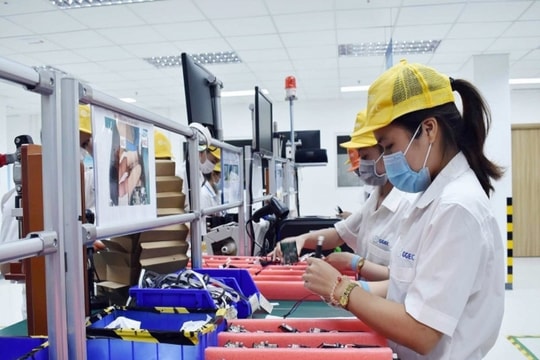 Hoàn thiện cơ chế, chính sách thúc đẩy kinh tế tuần hoàn