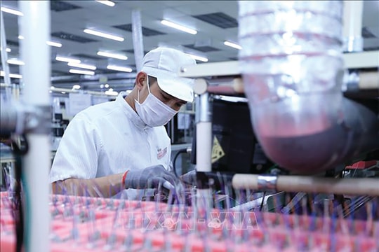 Việt Nam sẽ trở thành trung tâm bán dẫn khu vực?