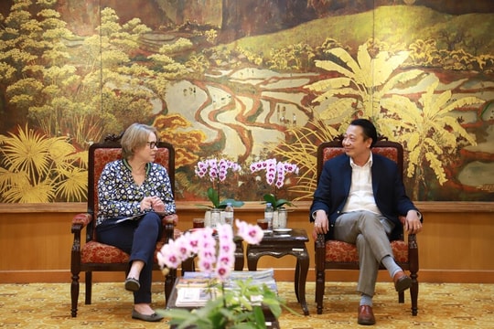 VCCI và GIZ tăng cường hợp tác thúc đẩy phát triển bền vững tại Việt Nam