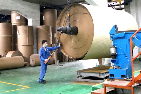 Tăng trưởng nóng nhưng ngành giấy khó khăn chủ động nguyên liệu