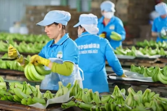 Mỗi ngày doanh nghiệp bầu Đức “bỏ túi” gần 4 tỷ đồng tiền lãi