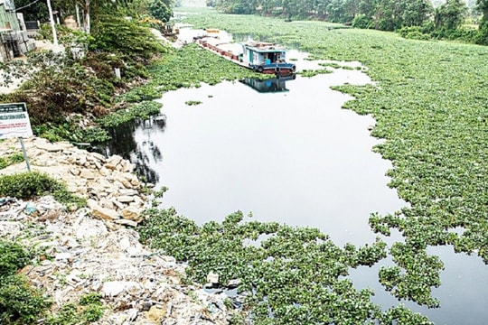 Hải Dương: Xử lý vi phạm trên hệ thống thủy lợi Bắc Hưng Hải