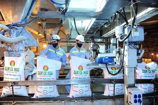 Áp thuế VAT 5% đối với phân bón: Sẽ hài hoà lợi ích 3 bên