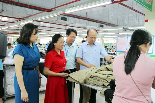 Công ty CP Tiên Hưng: Điểm sáng doanh nghiệp ngành may