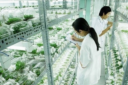 Thúc đẩy phát triển và ứng dụng công nghệ sinh học