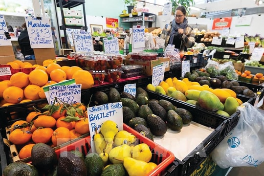 Xuất khẩu sang Canada sắp gặp "cơn gió ngược"