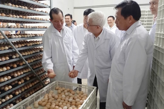 Bình Dương: Hướng tới phát triển nông nghiệp hữu cơ, sinh thái và tuần hoàn