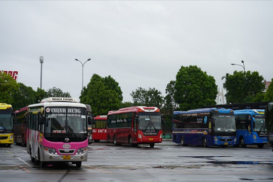 Không đạt mục tiêu, Hải Phòng huỷ bỏ quy hoạch phát triển xe buýt