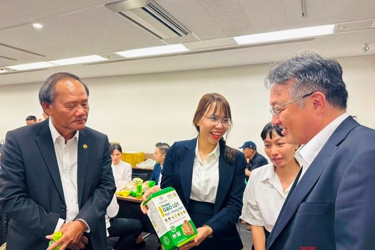 Nỗ lực đứng vững trên hành trình khởi nghiệp