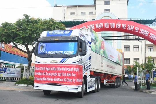 Bến Tre xuất khẩu dừa tươi sang thị trường Trung Quốc