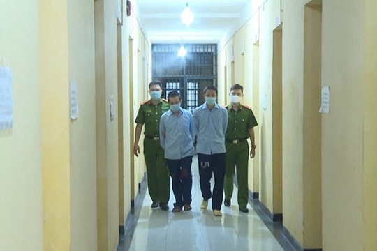 Mất trắng tài sản vì sập bẫy “làm giàu không khó”