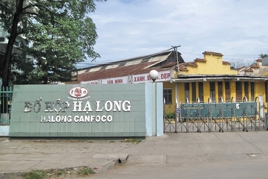 Đồ hộp Hạ Long kéo lợi nhuận sau bão Yagi