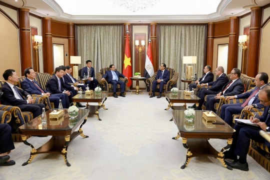 Ai Cập muốn thúc đẩy quan hệ với Việt Nam