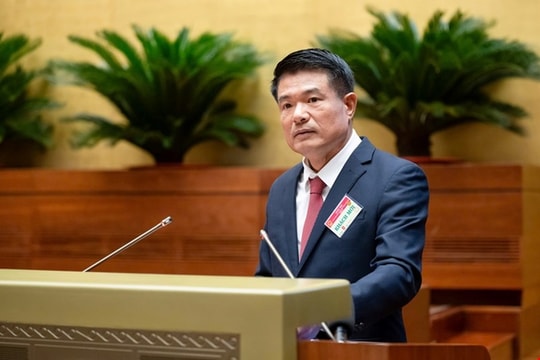 Cần thiết ban hành Nghị quyết thí điểm về xử lý vật chứng, tài sản