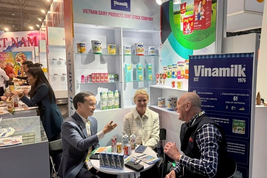 Vinamilk: Doanh thu thị trường nước ngoài tăng 15,7%, xuất khẩu tiếp tục là “lực đẩy”