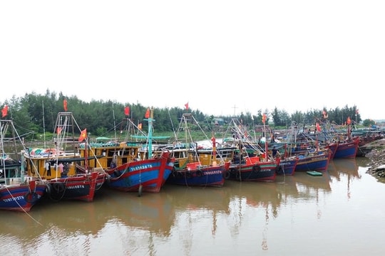 Thái Bình: Khắc phục những tồn tại về chống khai thác IUU