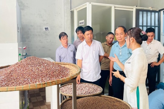 “Tiếp sức” cho Hợp tác xã Quảng Nam