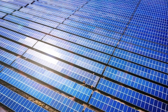 Bamboo Capital (BCG) tăng trưởng mạnh, lãi quý 3 gấp 36 lần cùng kỳ