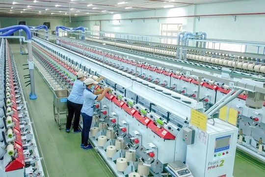 Tận dụng được sự dịch chuyển đơn hàng, VGT lãi lớn