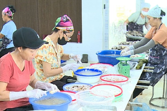 Phát triển bền vững sản phẩm OCOP