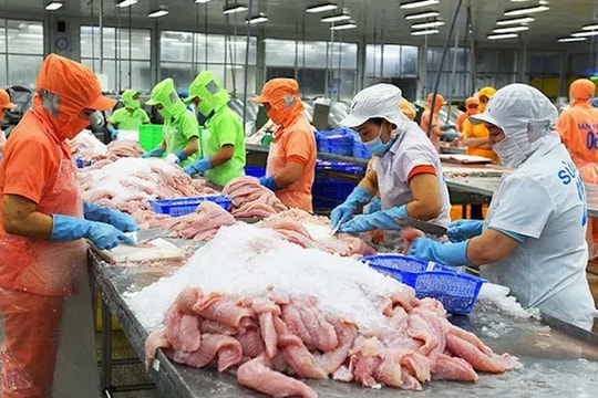 Hiệp định CEPA: "Đường lớn" đã mở cho doanh nghiệp