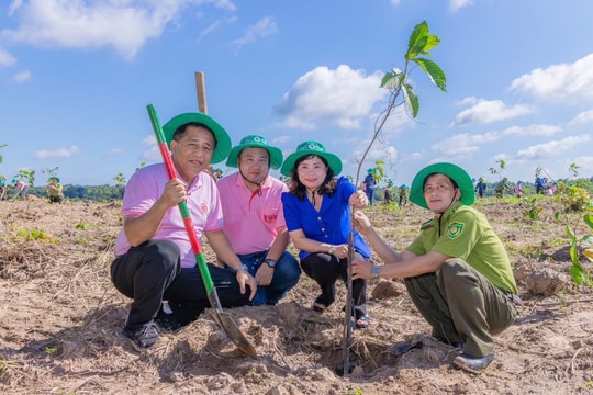 C.P. Việt Nam bàn giao dự án trồng và chăm sóc rừng tại Tà Thiết, tỉnh Bình Phước