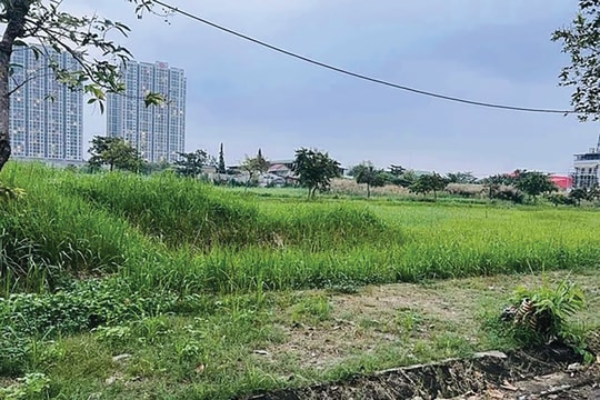 “Sốt ruột” mở rộng đất cho nhà ở thương mại: Những vướng mắc cần tháo gỡ