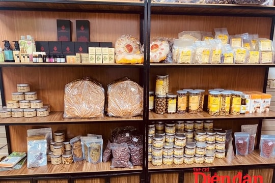 Hải Phòng: Thương mại điện tử “chìa khóa vàng" cho doanh nghiệp mở cánh cửa quốc tế