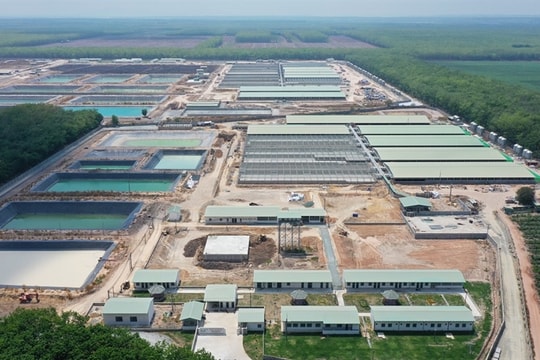 Huyện Tân Châu (Tây Ninh): Thu hút đầu tư vào nông nghiệp công nghệ cao, công nghiệp chế biến