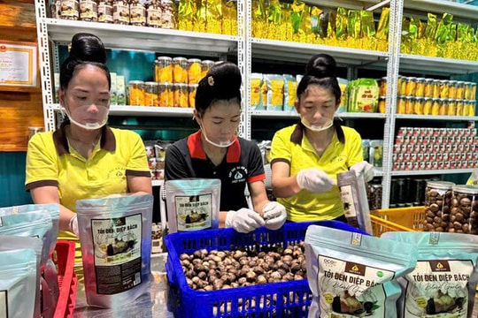 Huyện Yên Châu (Sơn La): Xây dựng sản phẩm OCOP với tiêu chuẩn 4 sao