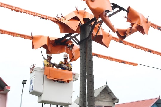 Tổng công ty Điện lực miền Bắc đẩy mạnh đầu tư hạ tầng lưới điện