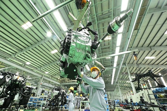 Quảng Nam tập trung nâng cao chỉ số PGI