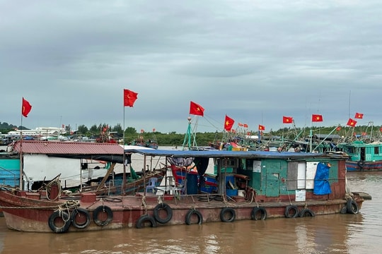 Hải Phòng: Quyết liệt vào cuộc chống khai thác IUU