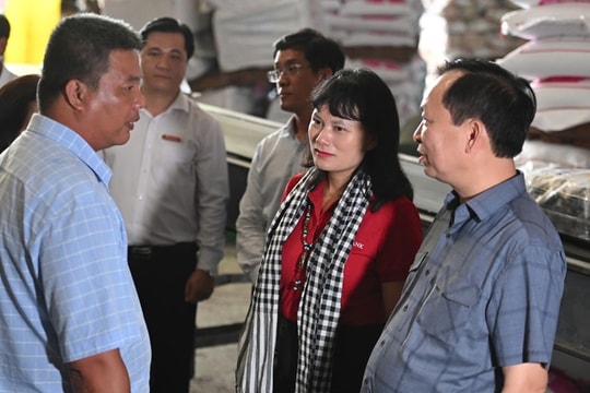 Ngân hàng sẵn sàng vốn để cho vay ưu đãi lãi suất thấp ngành lúa gạo