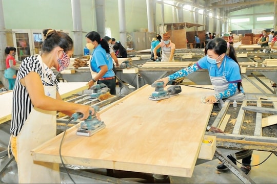 Chính quyền Trump "soi" xuất xứ hàng hoá , doanh nghiệp gỗ cần làm gì?