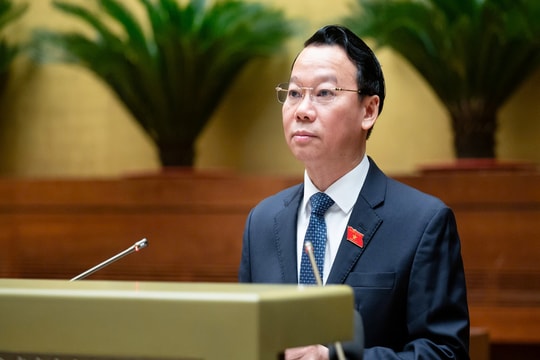 Cần nghiên cứu kỹ việc áp dụng cơ chế thí điểm với đất chuyên trồng lúa và đất rừng