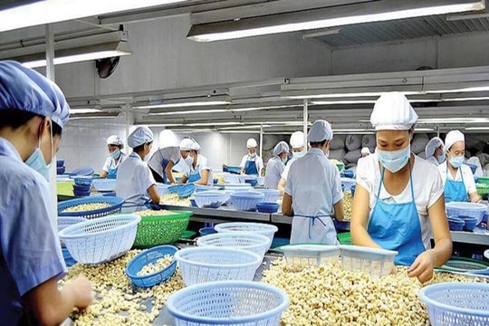 Chủ động ứng phó với các biện pháp phòng vệ thương mại