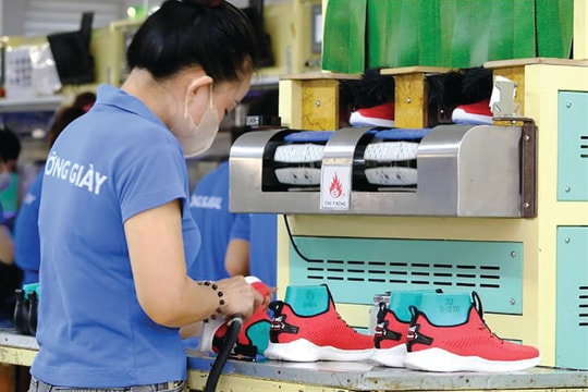 Đằng sau thăng trầm của Biti’s