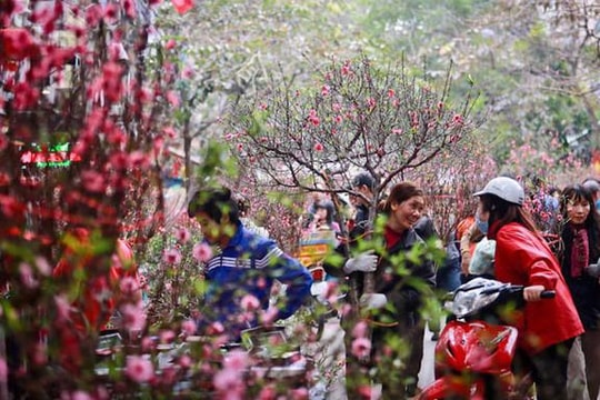 Nghỉ Tết Nguyên đán bao nhiêu ngày là vừa?