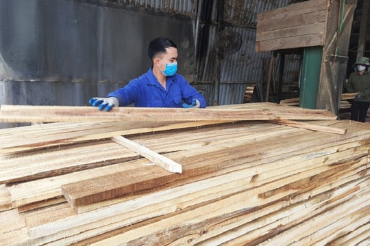Vì sao ngành công nghiệp chế biến gỗ chậm phát triển?