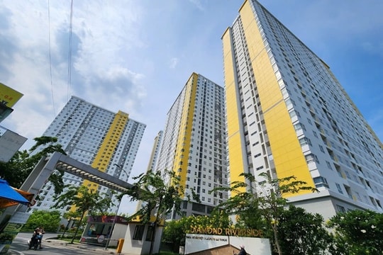 Focus Media (Goldsun) bị kiện vì nợ tiền thuê vị trí lắp đặt quảng cáo