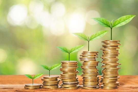 Doanh nghiệp Việt khó tiếp cận vốn vì thiếu tiêu chuẩn xanh thống nhất