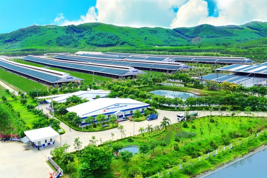 Sử dụng hiệu quả yếu tố đầu vào để tăng năng suất chất lượng trong doanh nghiệp