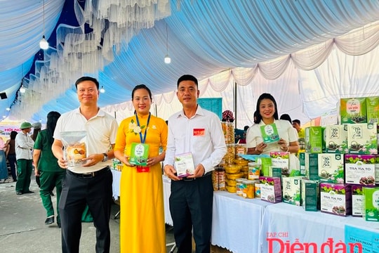 Hải Dương: Doanh nghiệp kết nối tiêu thụ sản phẩm sau bão Yagi