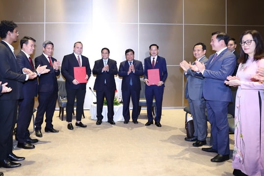 Xây dựng cầu nối vững chắc cho doanh nghiệp Việt Nam - Brazil