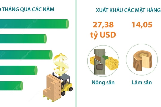 “Tác động kép” đối với nông sản xuất khẩu Việt: Nguy cơ thuế cao khi “siết” nguồn gốc gỗ