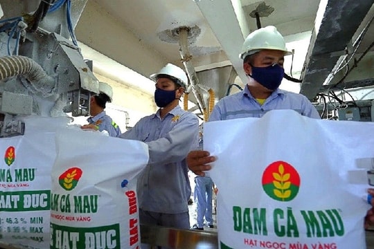 Sửa mức thuế VAT ngành phân bón, DPM và DCM hưởng lợi
