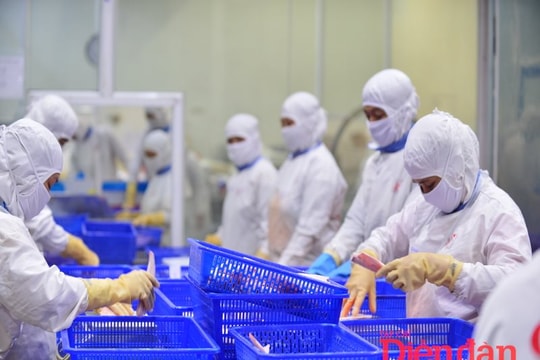 Bổ sung i-ốt vào thực phẩm: Nên chọn lọc hay phủ toàn diện?