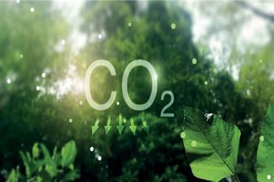 Thúc đẩy phát triển thị trường tín chỉ carbon