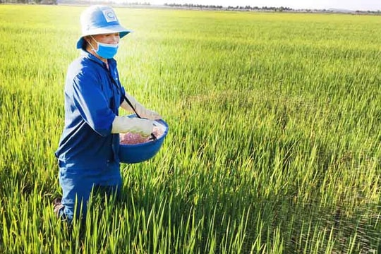 Khi phân bón không chịu thuế GTGT, “Ba nhà” chịu thiệt như thế nào?